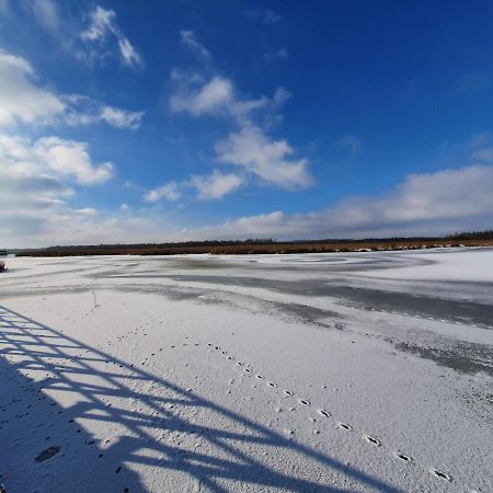 Auszeit Am Federsee Bad Buchau Eksteriør billede